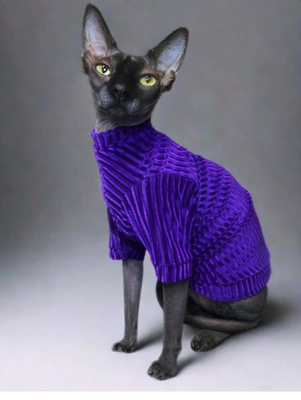 Royal Cantina Long Sleeve Ribbed Velvet Shirt