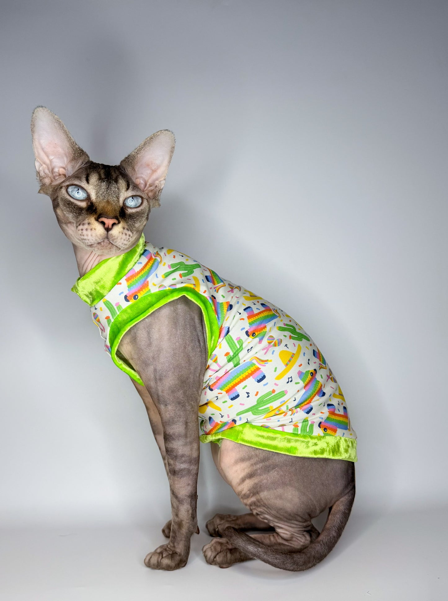 Piñata Party Everyday Shirt