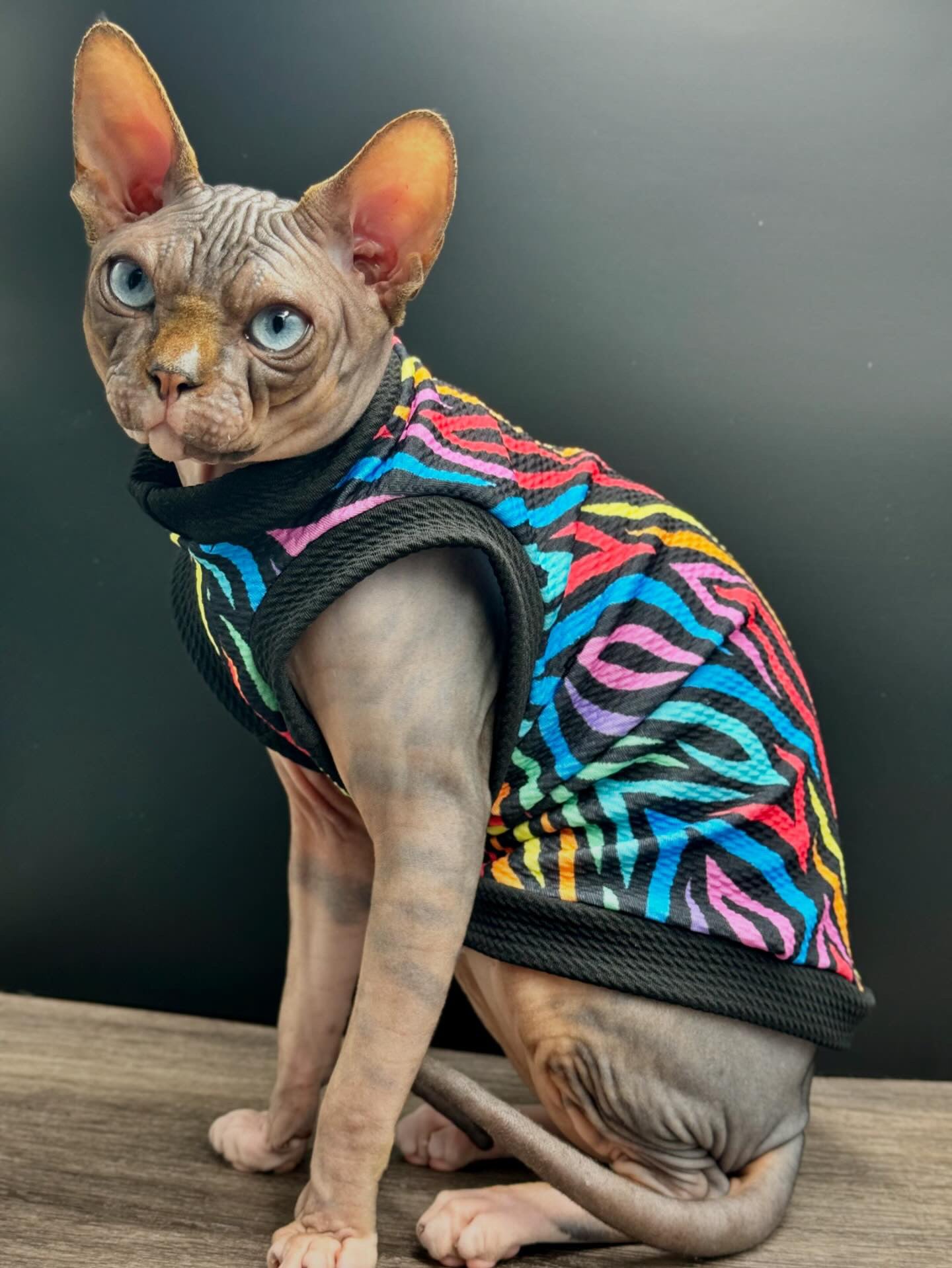 Colorful Zebra Textured Shirt