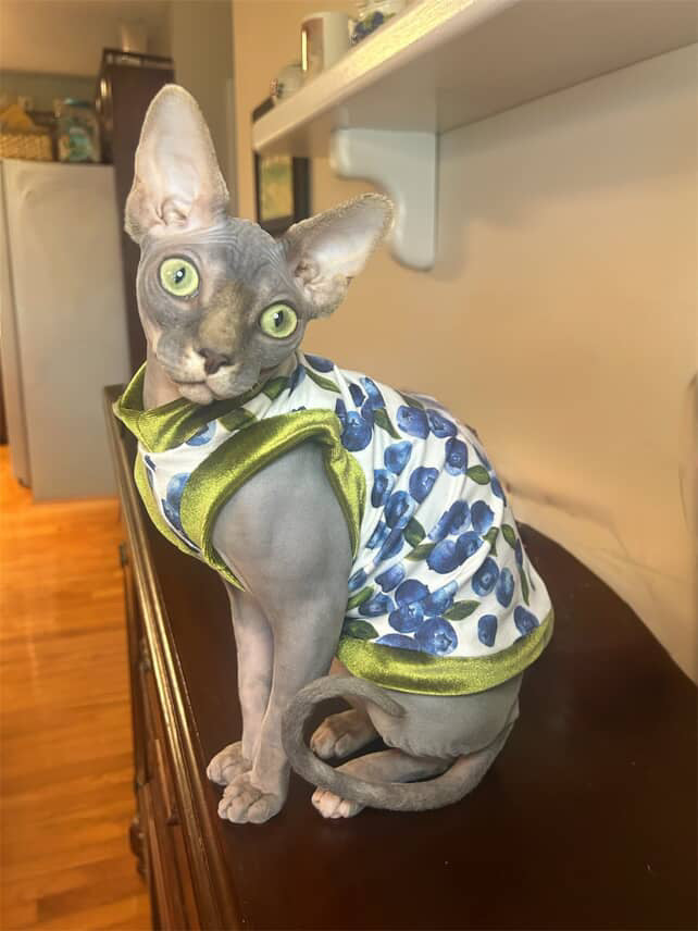 Berry Sweet Everyday Shirt