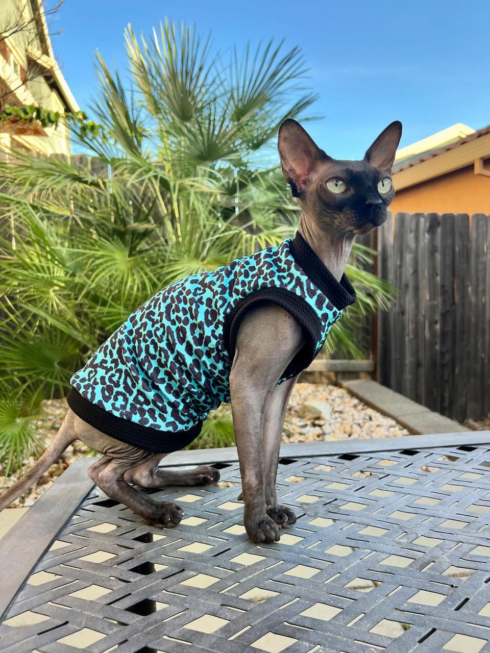 Teal Leopard Textured Shirt