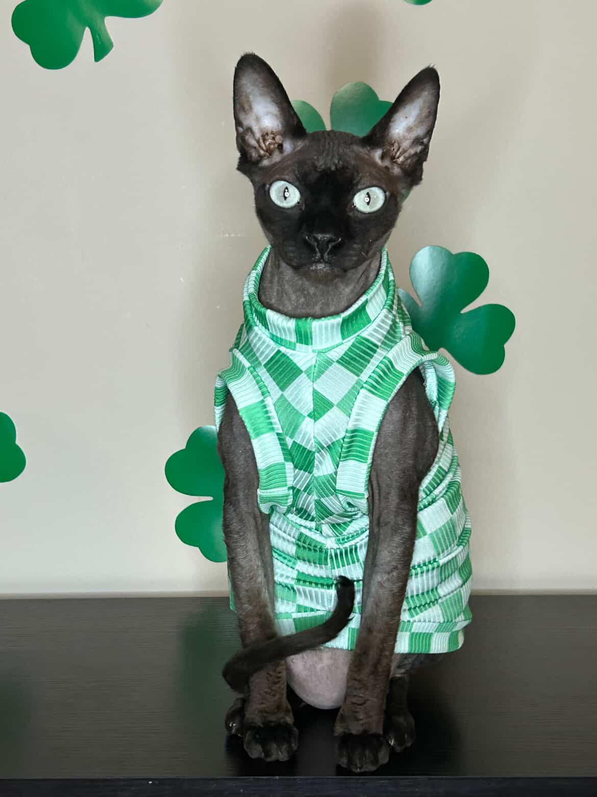 Lucky Checks Ribbed Shirt