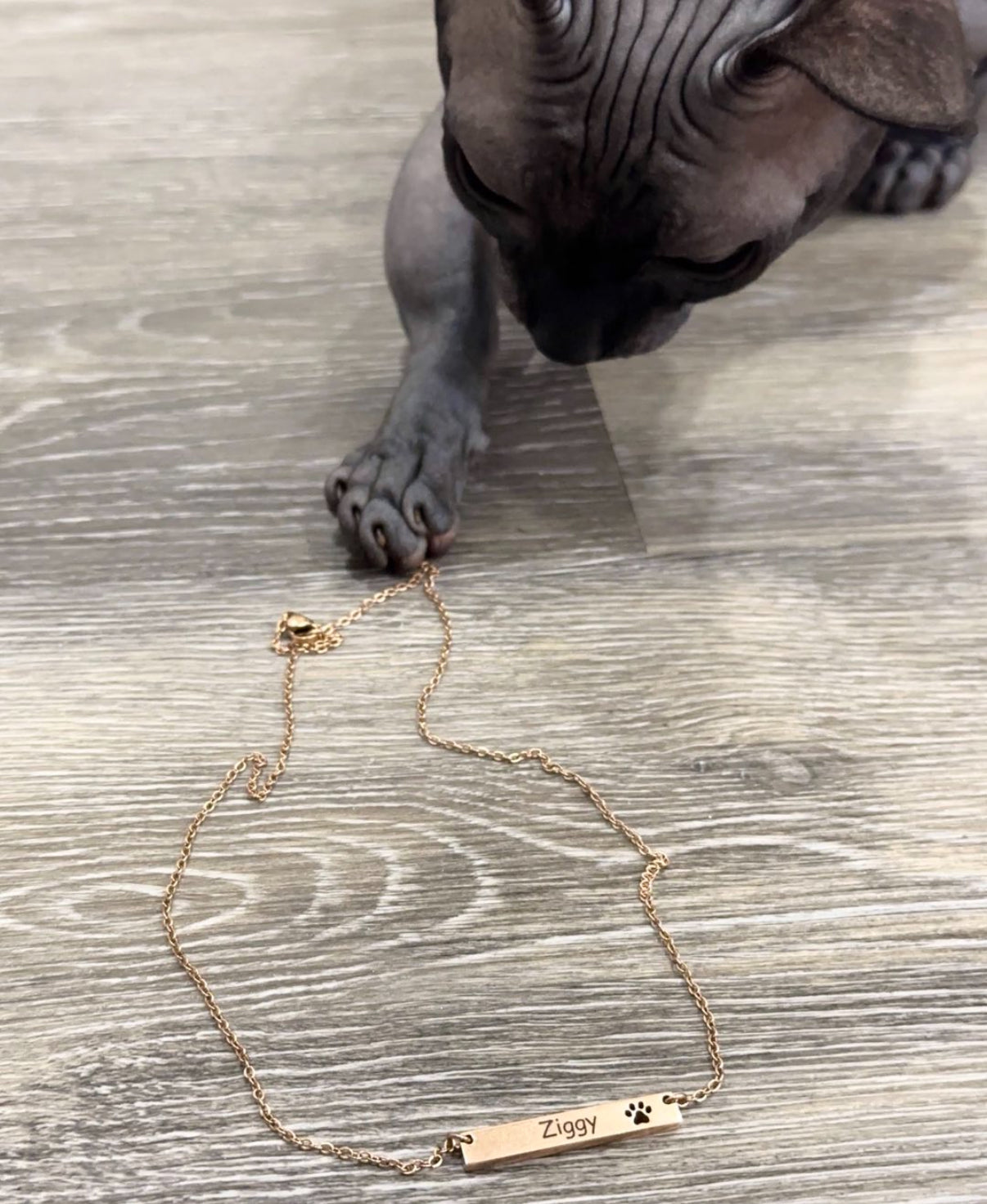 Personalized Paw Necklace