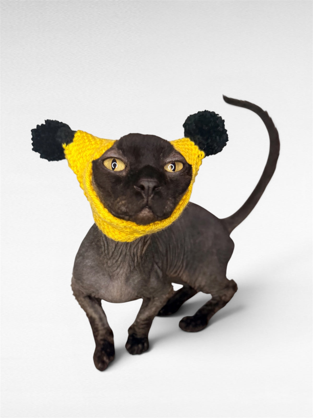 Pikachu Knit Hat