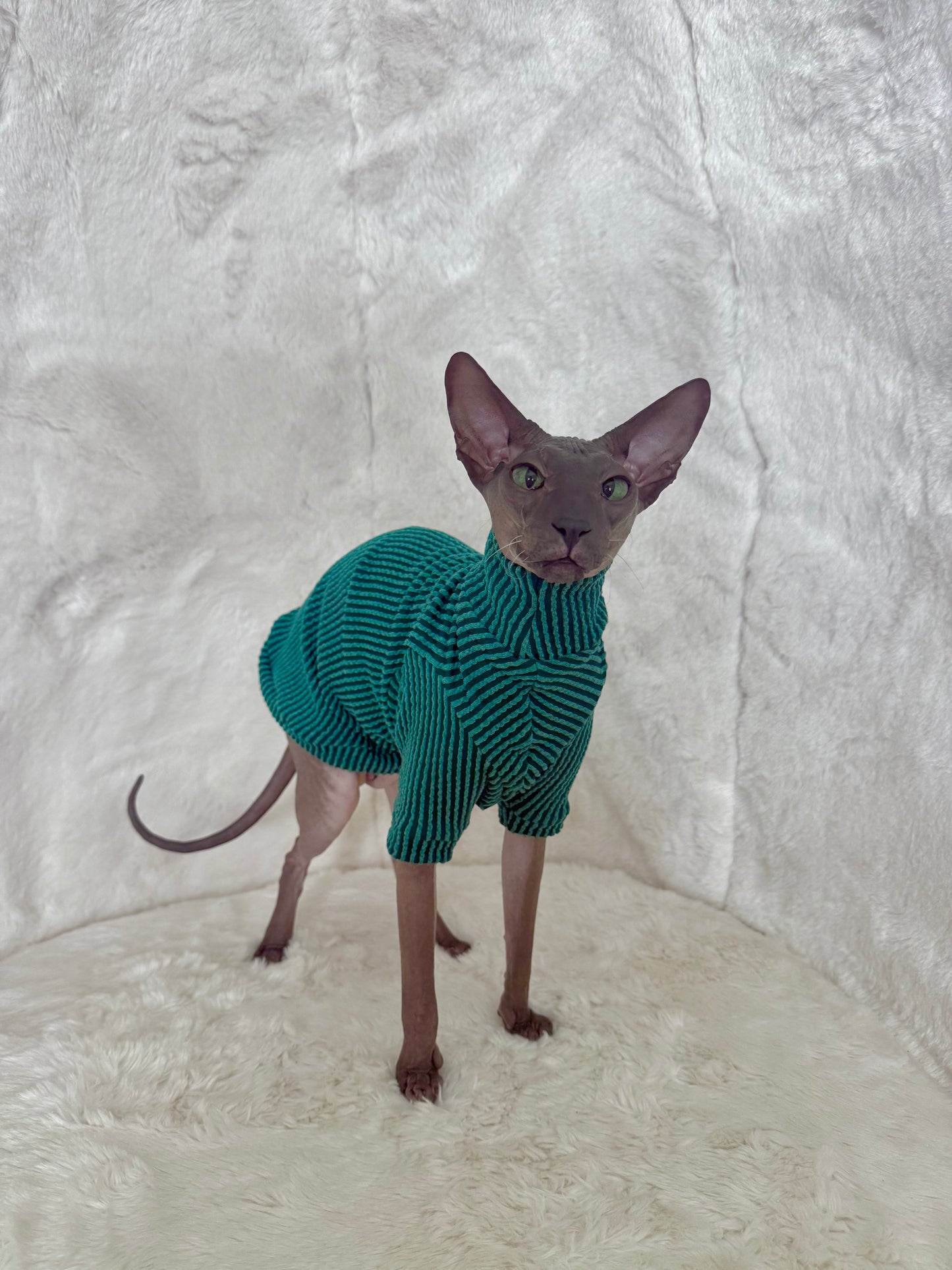 Pine Tutuneck Long Sleeve Chunky Ribbed Shirt