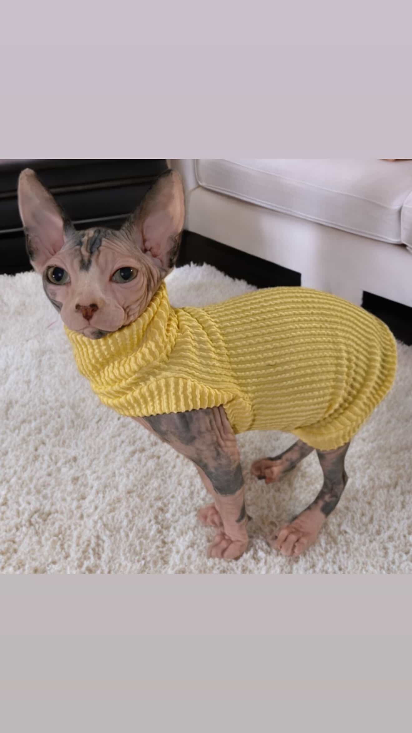 Butter Chunky Ribbed Shirt with One Arm Hole