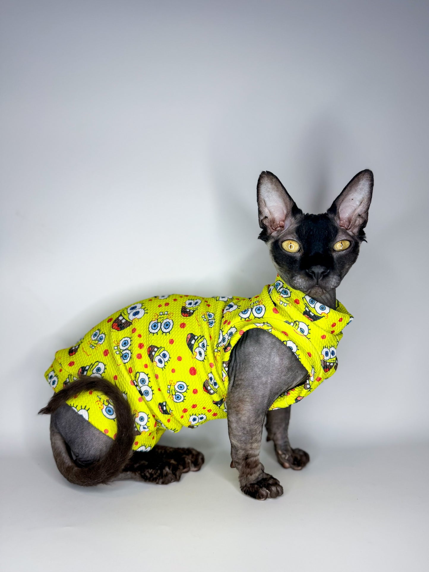 Pineapple Purradise Textured Shirt