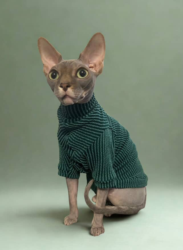 Pine Tutuneck Long Sleeve Chunky Ribbed Shirt