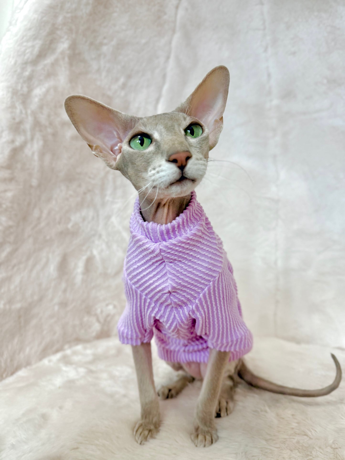 Lavender Long Sleeve Chunky Ribbed Shirt