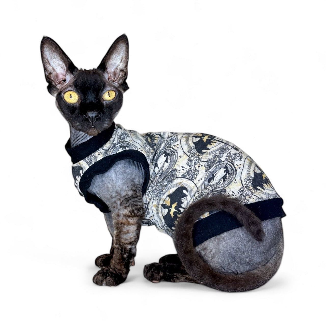 Fourth Wing Everyday Shirt