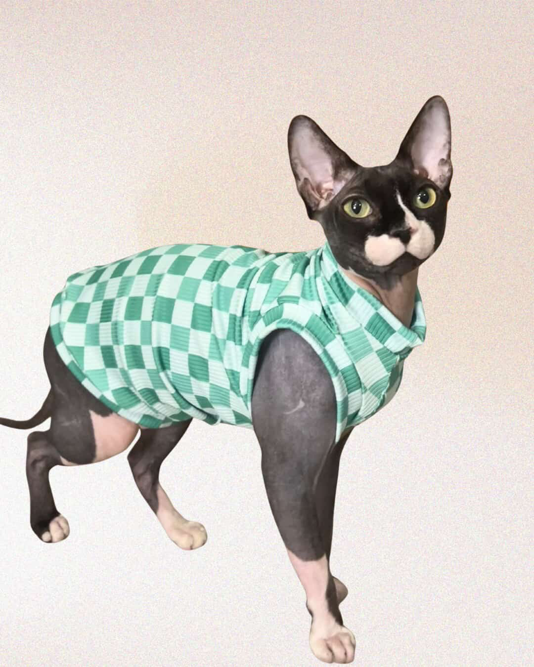 Lucky Checks Ribbed Shirt