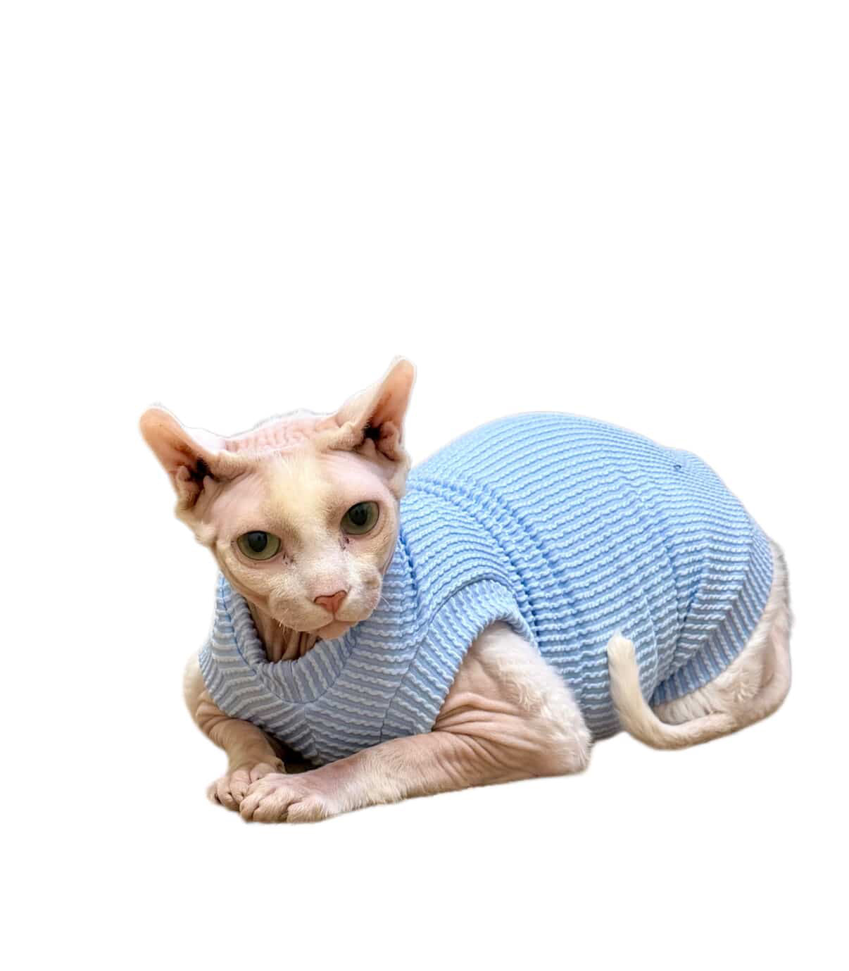 Powder Chunky Ribbed Shirt