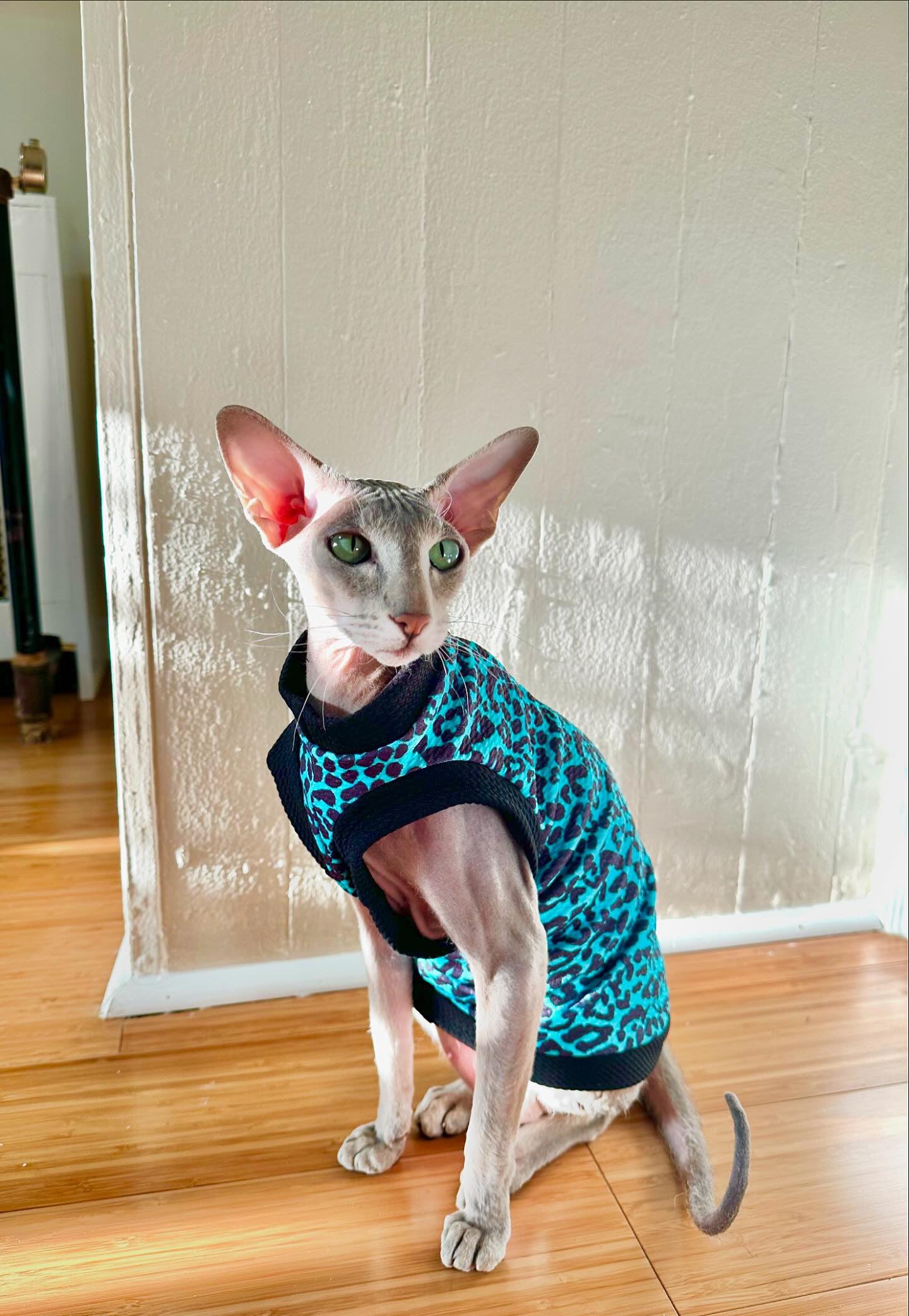 Teal Leopard Textured Shirt