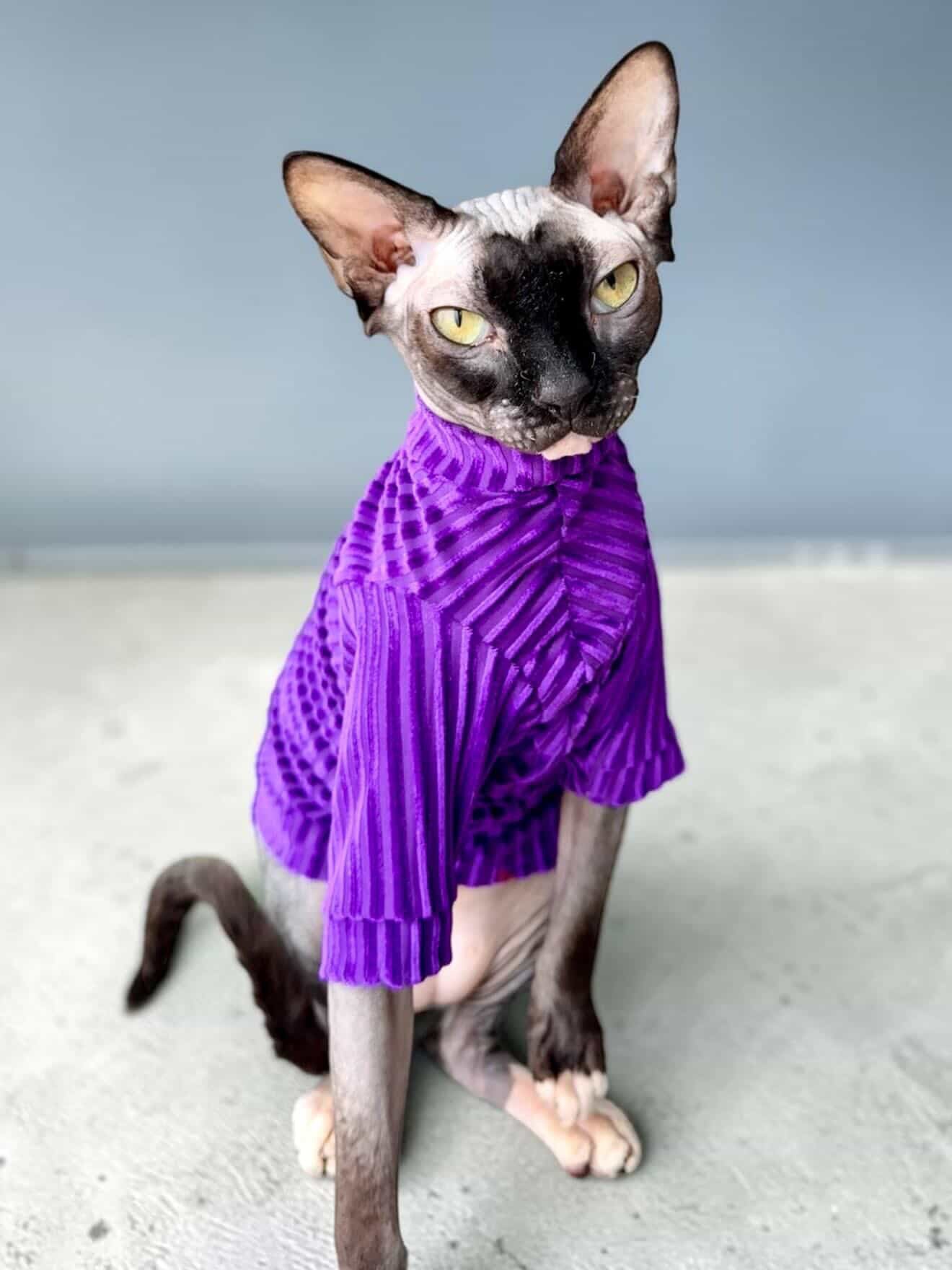Royal Cantina Long Sleeve Ribbed Velvet Shirt