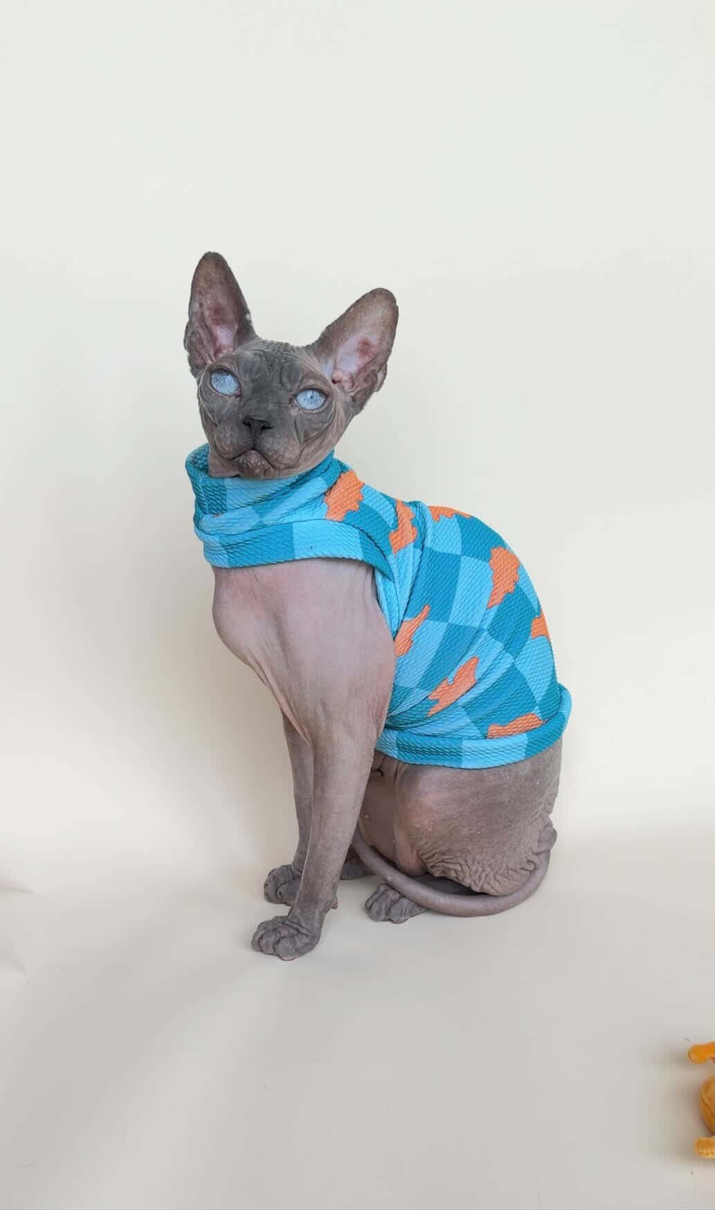 MSD X NoodyBums Teal Dino Nuggets Textured Shirt with One Arm Hole
