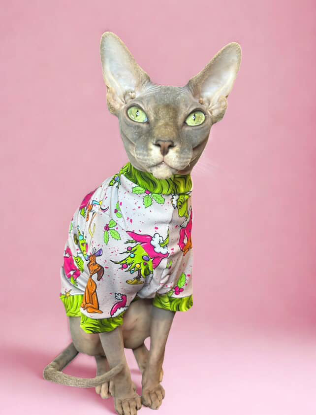 Grinch and Max Long Sleeve Everyday Shirt