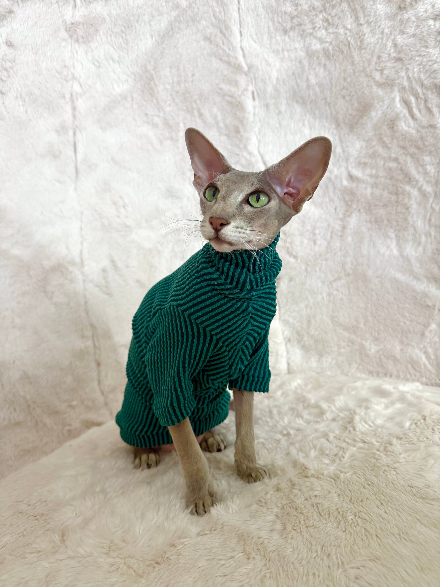 Pine Tutuneck Long Sleeve Chunky Ribbed Shirt