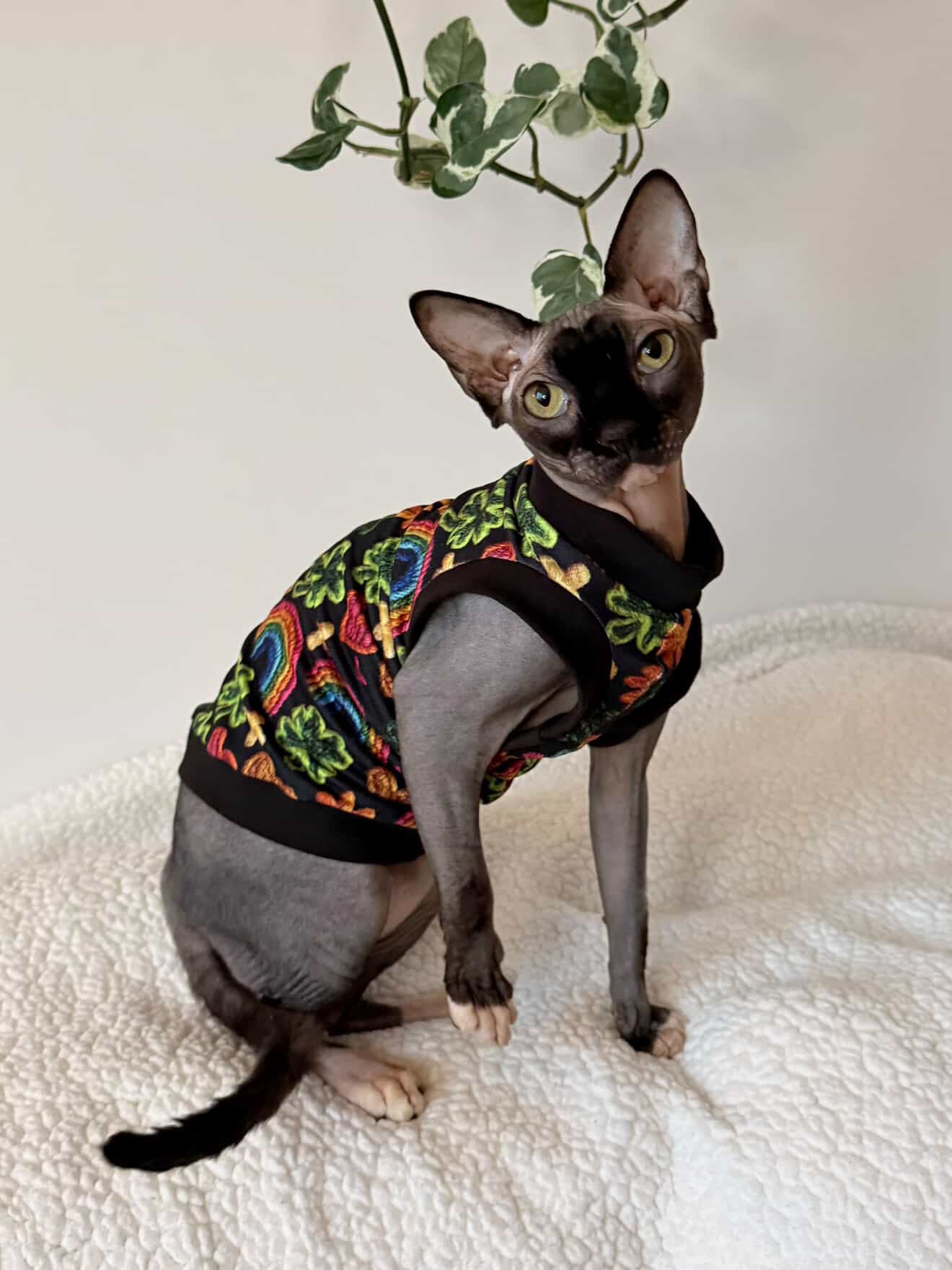 St Patricks Luxe Shirt