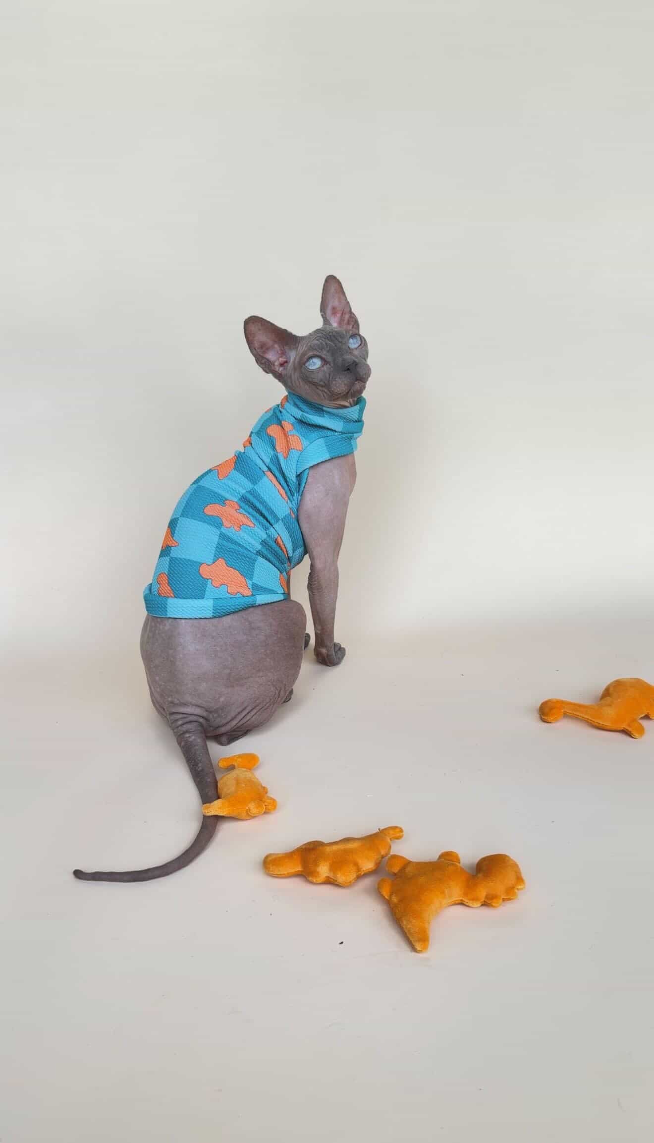 MSD X NoodyBums Teal Dino Nuggets Textured Shirt with One Arm Hole