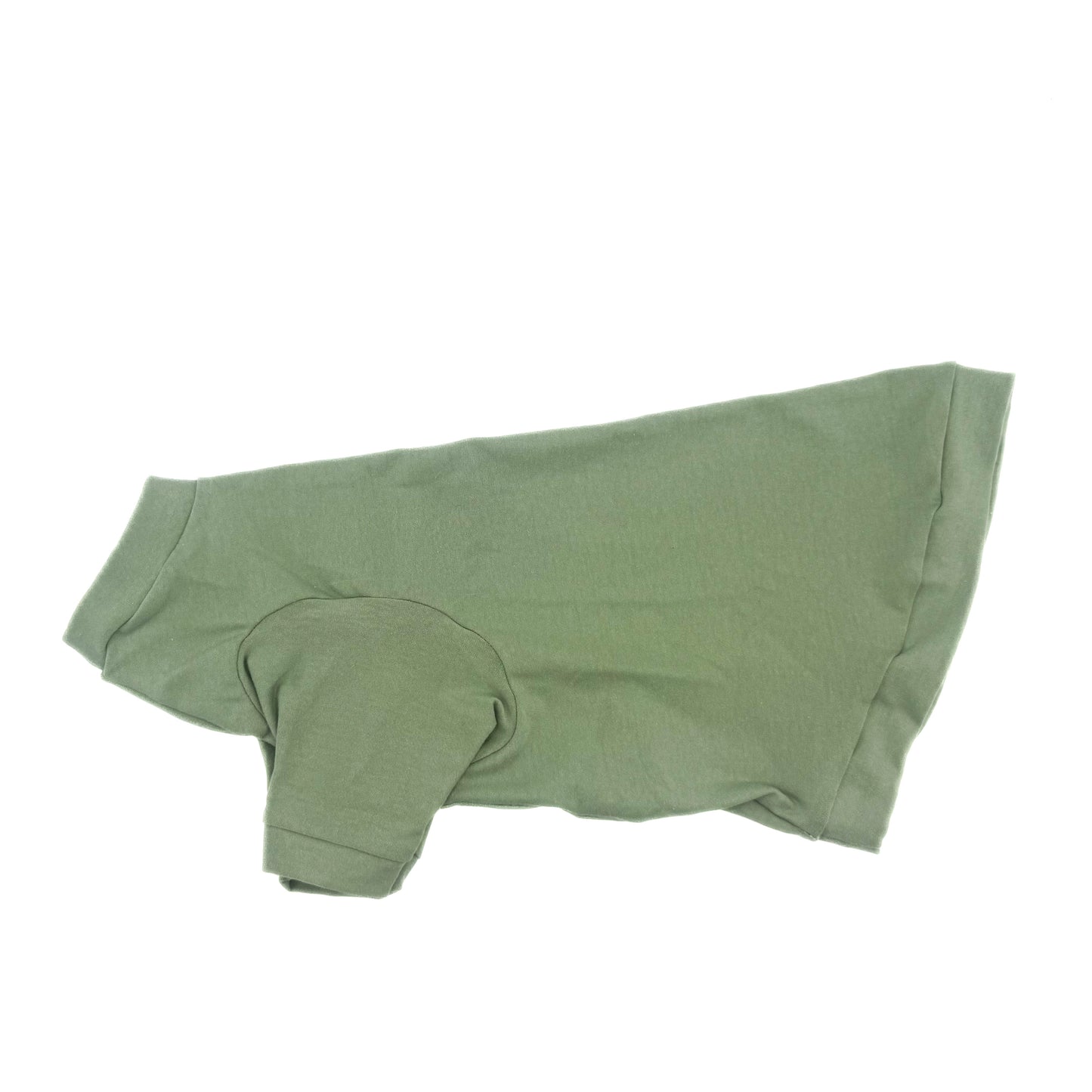 Sage Long Sleeve Everyday Shirt