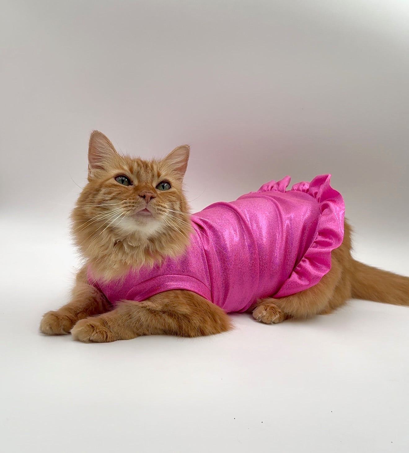 Beach Party Pink Ruffle Butt Fashion Shirt (Both Arm Styles)