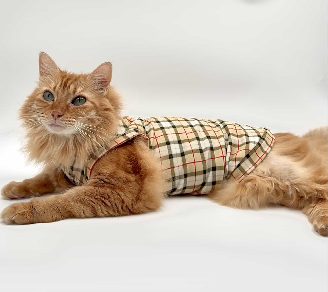 Luxury Plaid Lightweight Sweatshirt