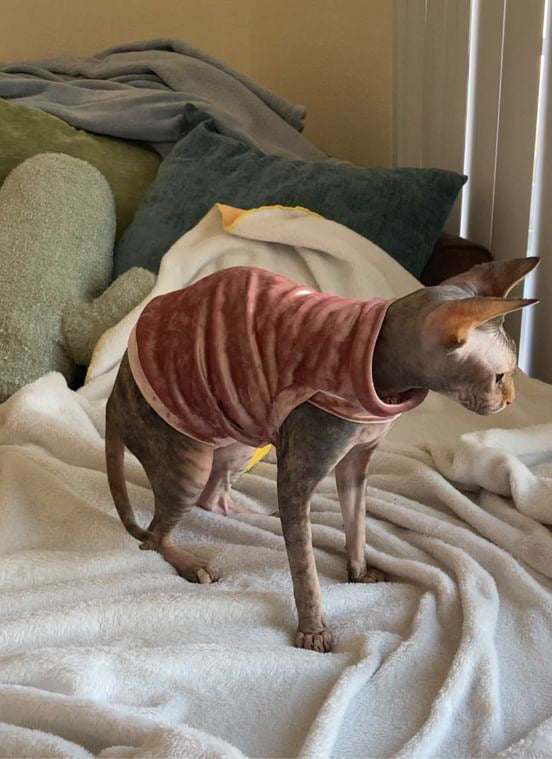 Pink Velvet Shirt with One Arm Hole