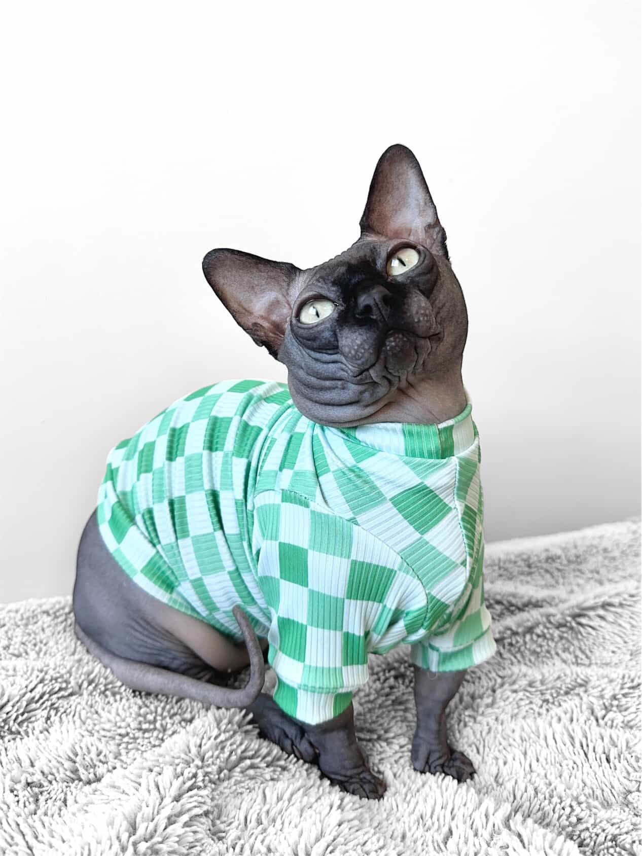 Lucky Checks Long Sleeve Ribbed Shirt