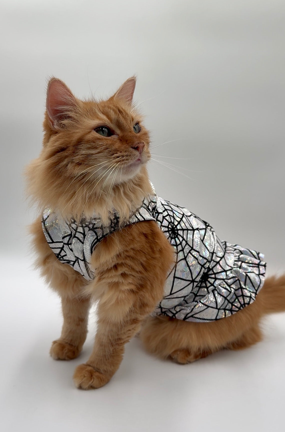 Chrome Crawler Fashion Shirt