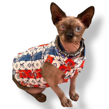 Patriotic Luxury Everyday Shirt