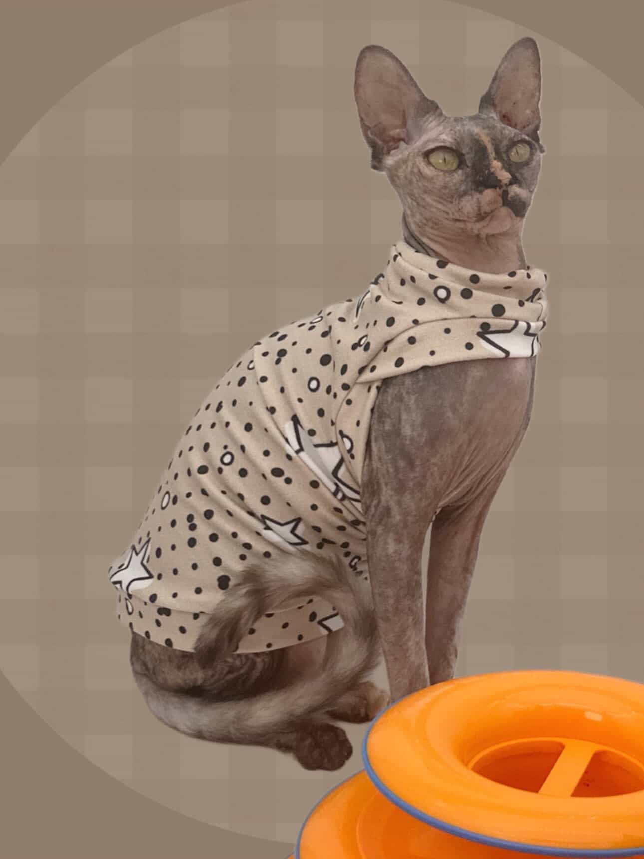 Super Star Lightweight Sweatshirt with One Arm Hole