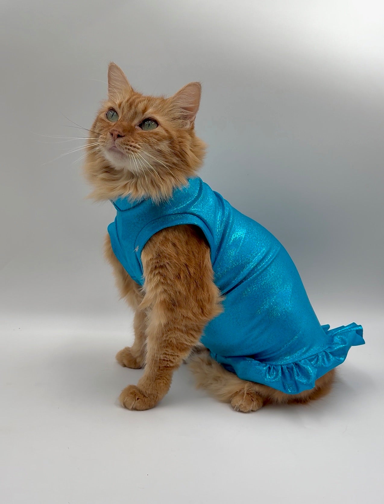 Caribbean Breeze Ruffle Butt Fashion Shirt (Both Arm Styles)
