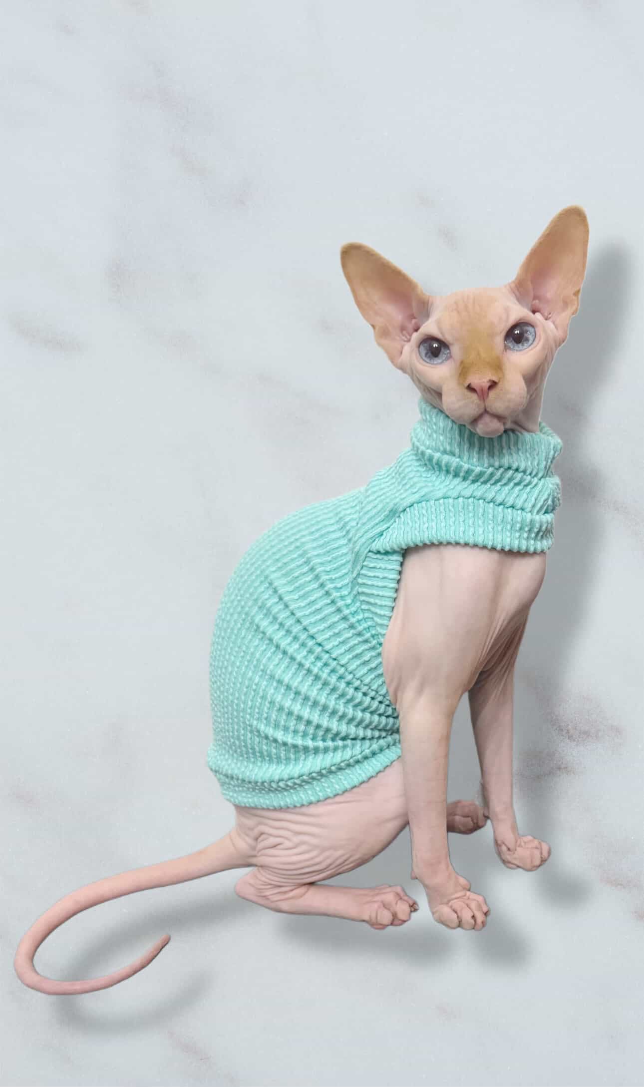 Seafoam Chunky Ribbed Shirt with One Arm Hole