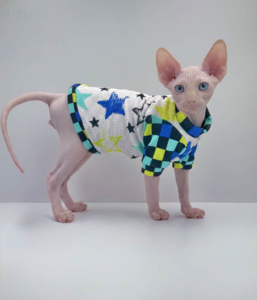 Rockstar Long Sleeve Textured Shirt