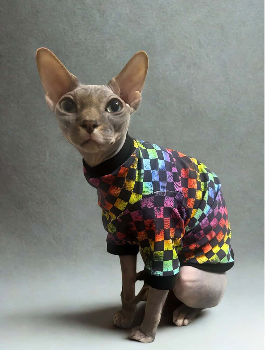 Rainbow Checkers Long Sleeve UV50+ Sun Protection Shirt