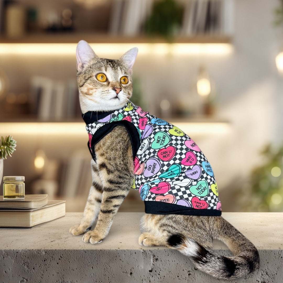 Sphynx Cat Clothes | Hairless Cat Clothes | Bambino Cat Clothes