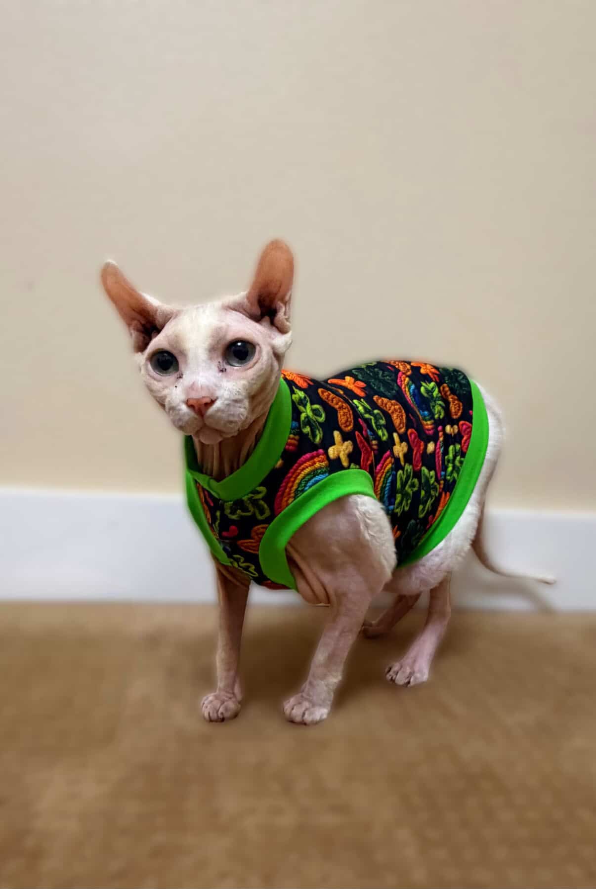 St Patricks Luxe Shirt