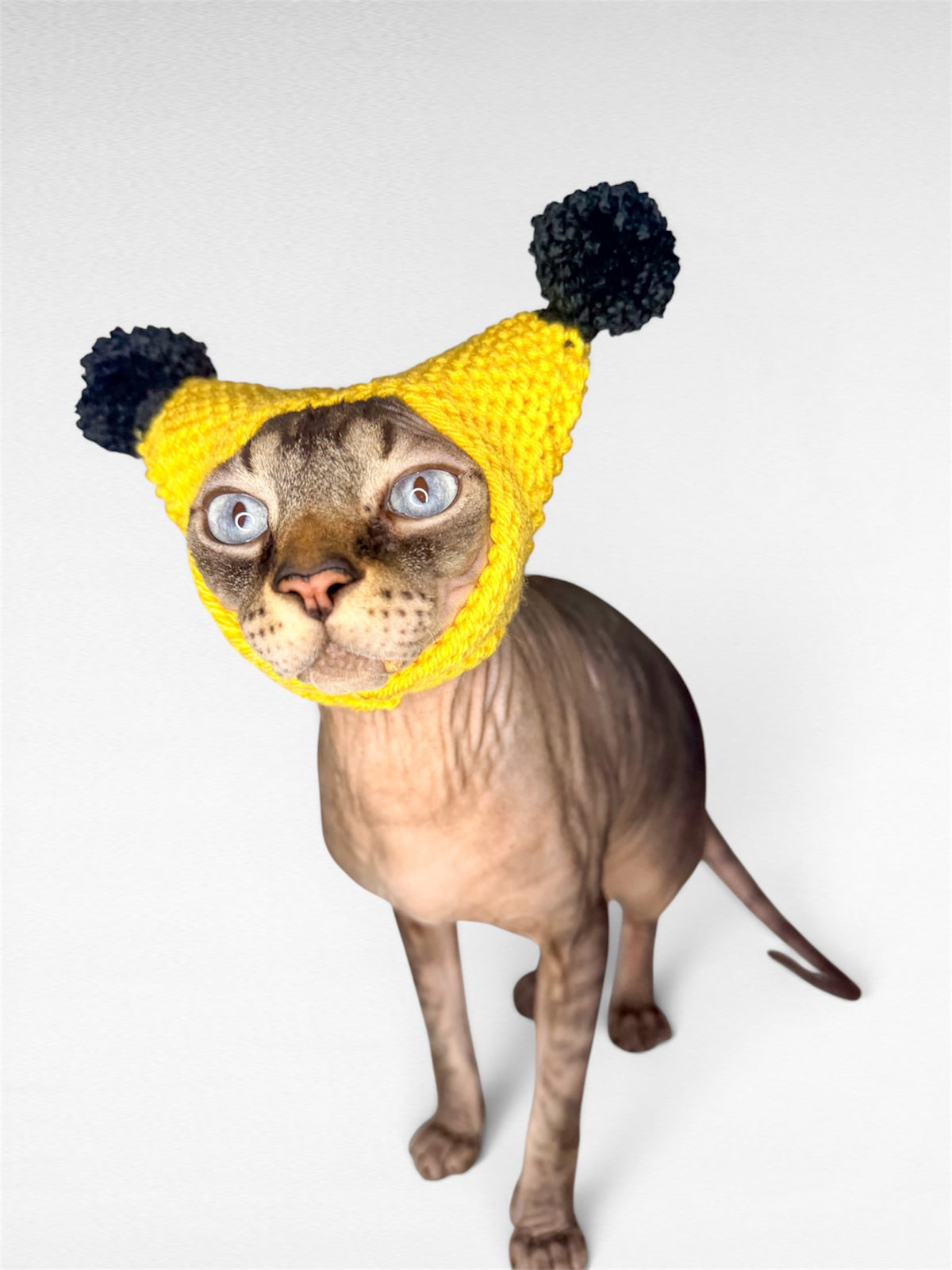 Pikachu Knit Hat