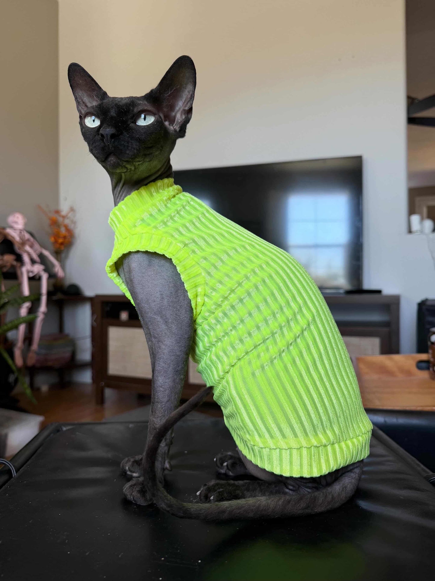 Neon Sol Ribbed Velvet Shirt