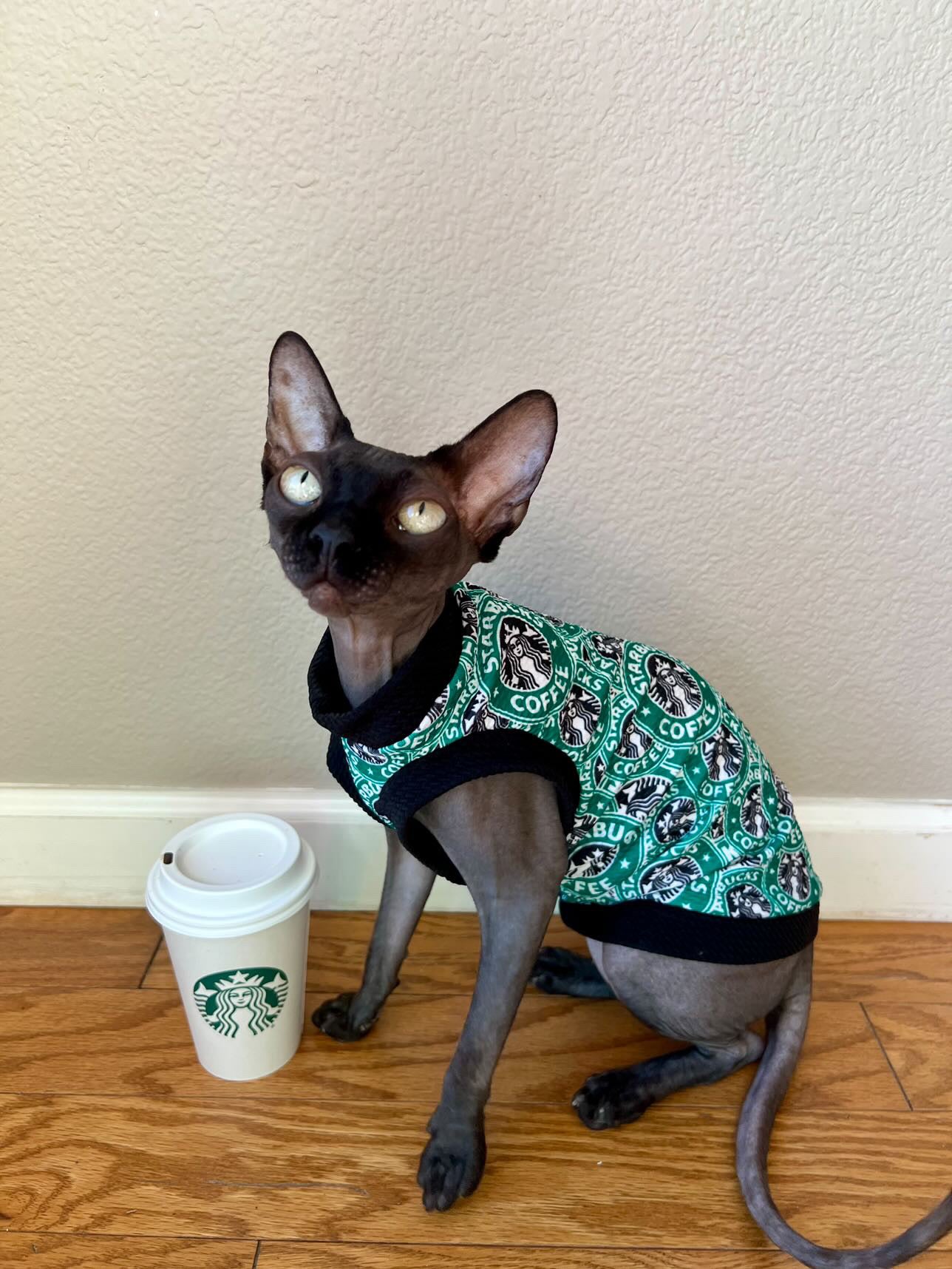 Coffee Date Textured Shirt