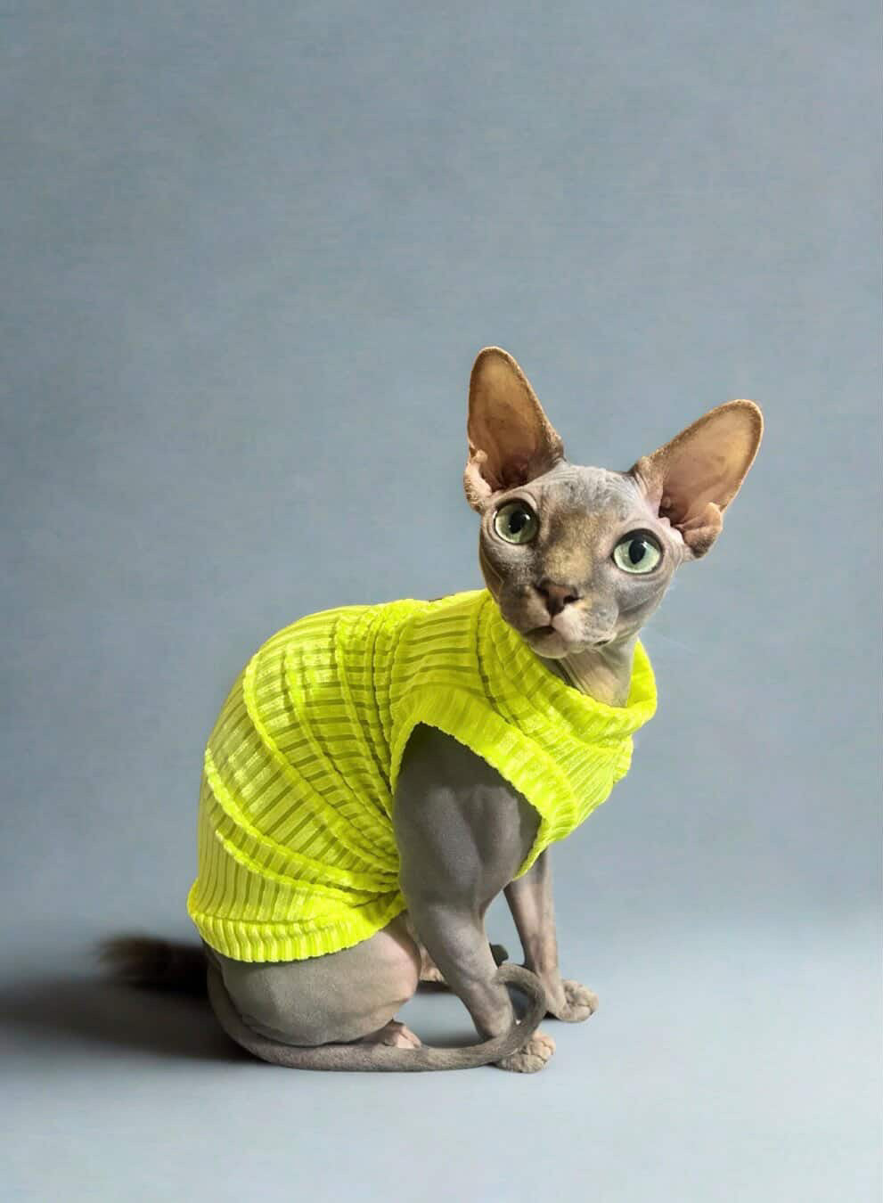 Neon Sol Ribbed Velvet Shirt