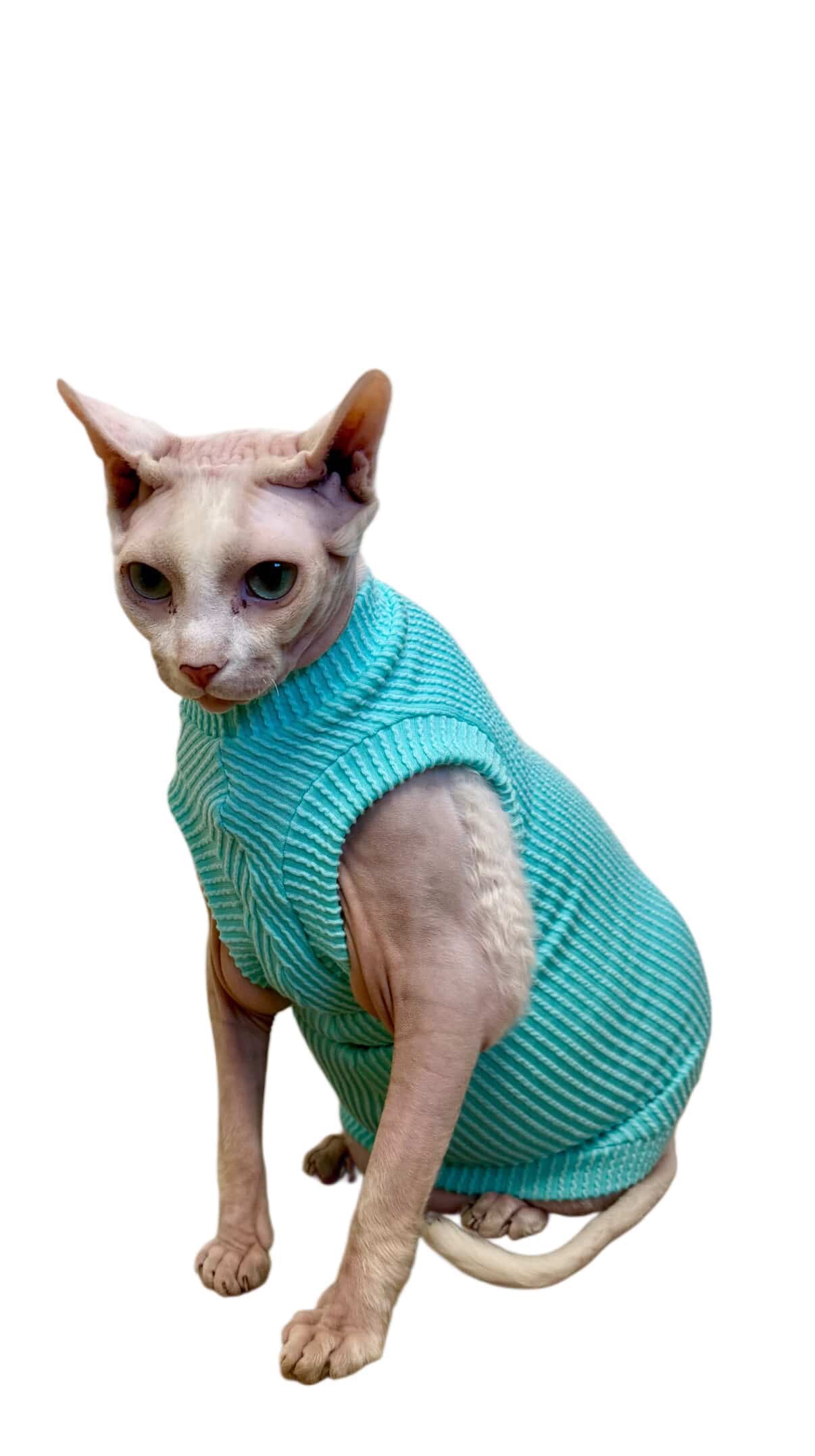Seafoam Chunky Ribbed Shirt