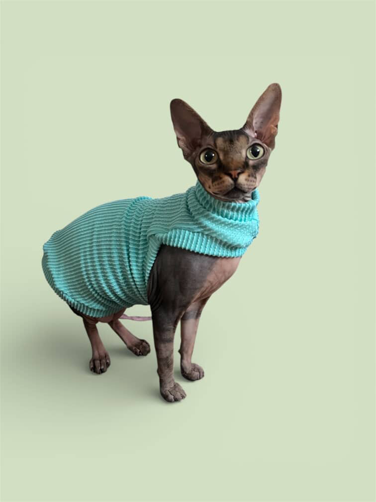 Seafoam Chunky Ribbed Shirt with One Arm Hole