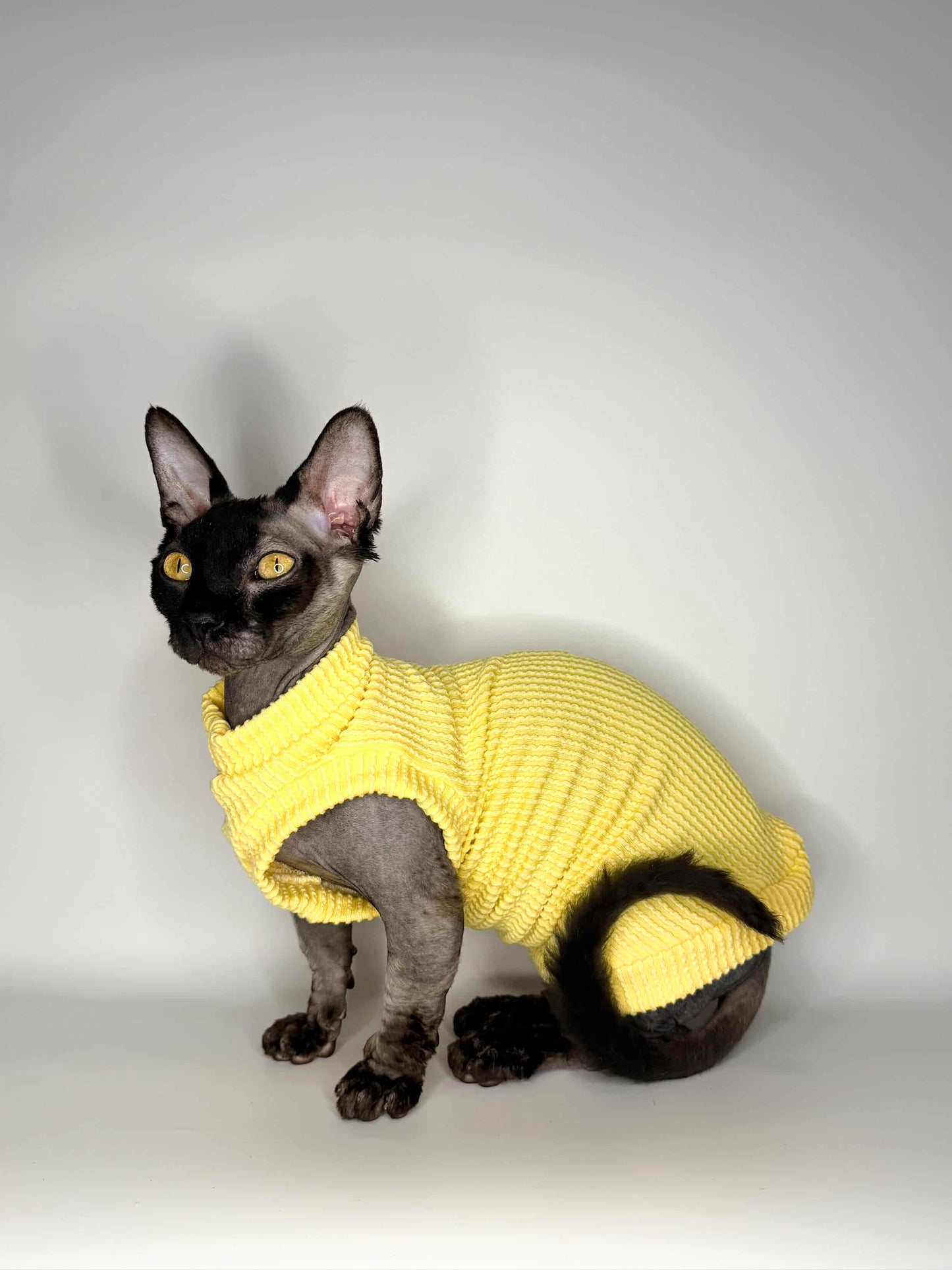 Butter Chunky Ribbed Shirt