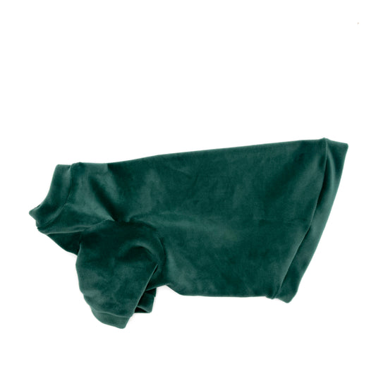 Pine Long Sleeve Plush Velvet Shirt