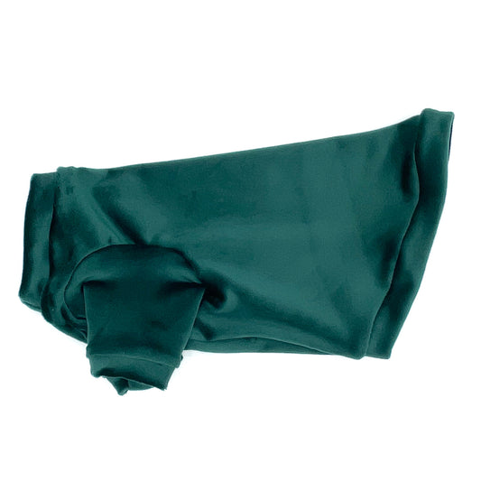 Green Long Sleeve Plush Fleece Shirt