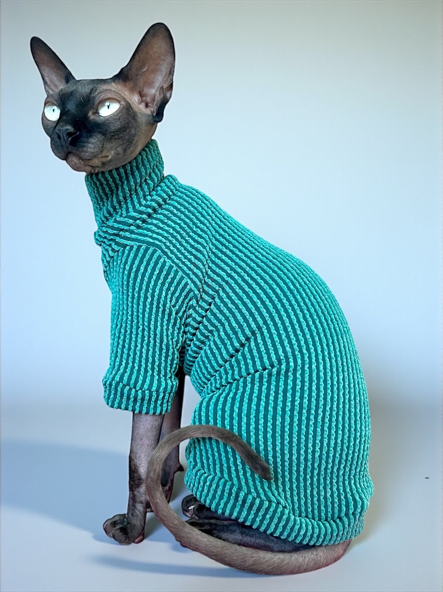 Pine Tutuneck Long Sleeve Chunky Ribbed Shirt