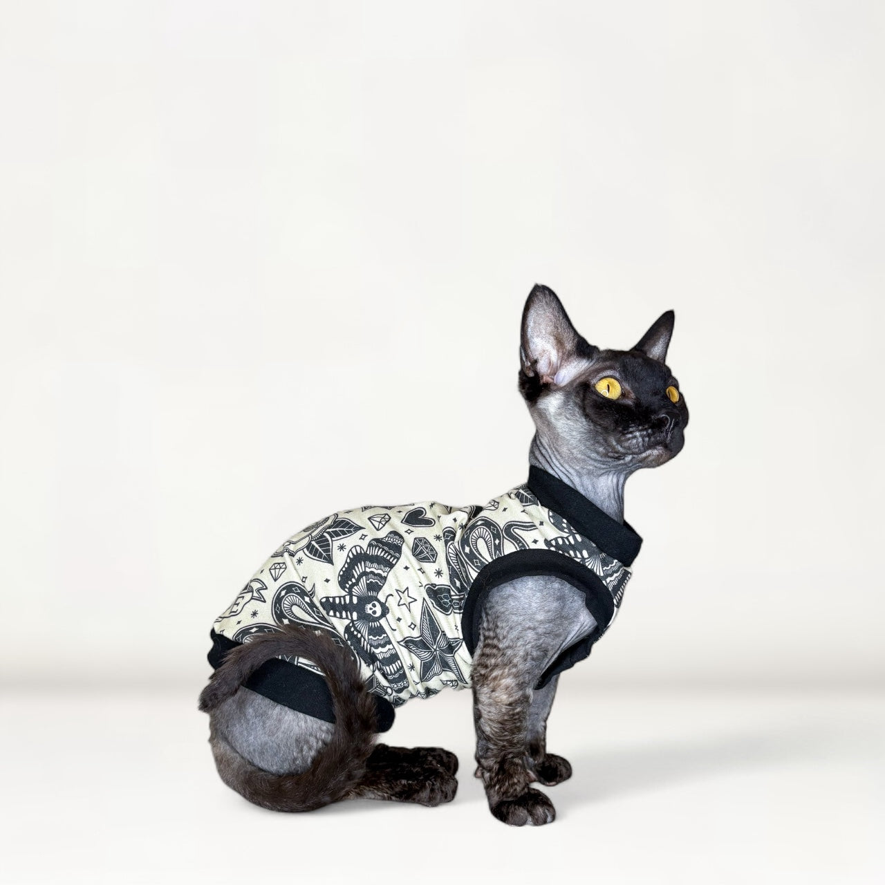 Cattoo Parlor Everyday Shirt