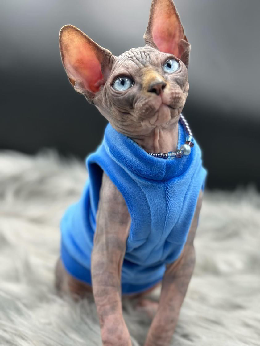 Blue Plush Fleece Shirt