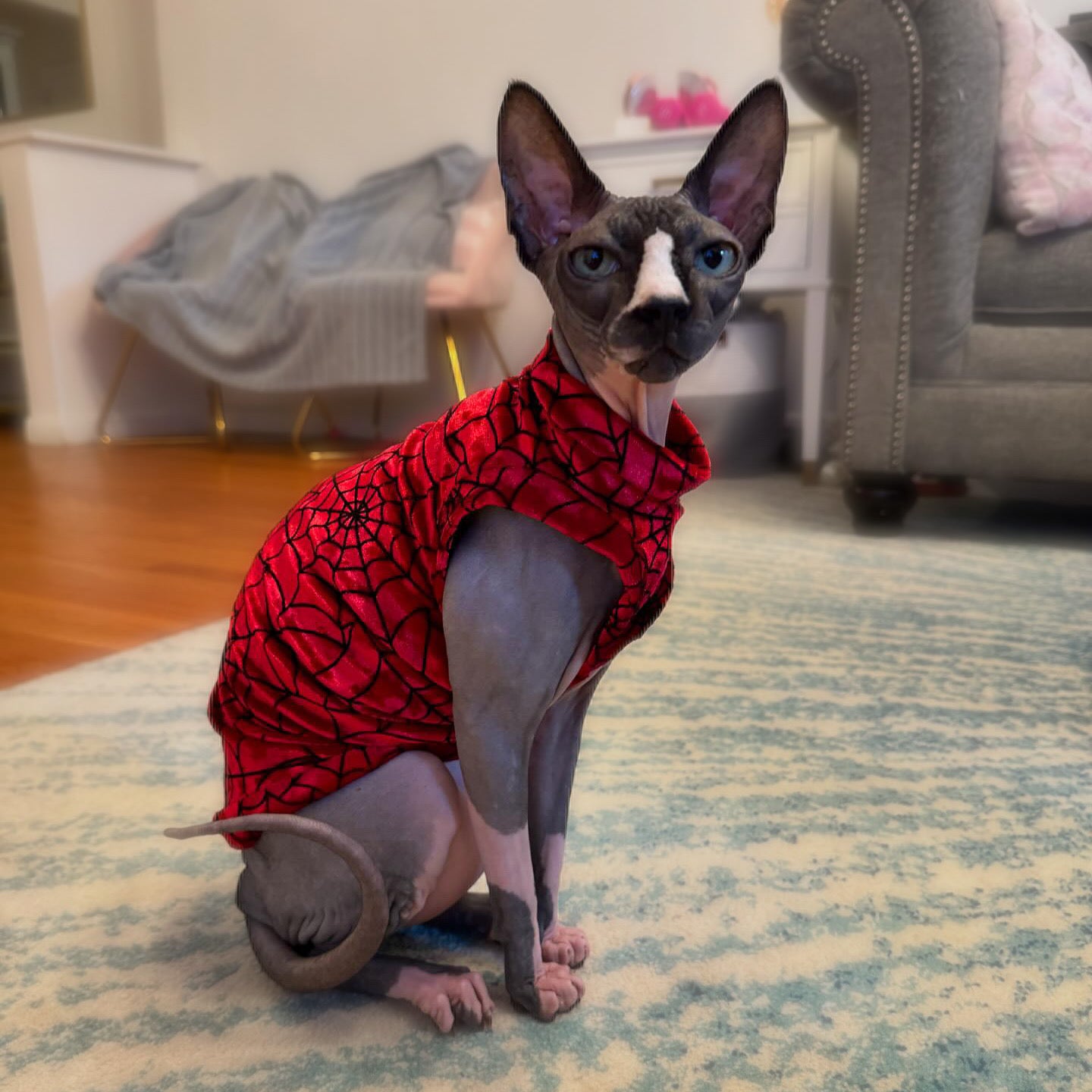 Creeping it Real Velvet Shirt